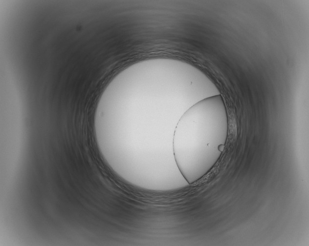 X0000116450599200912081415