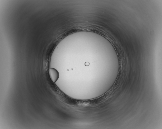 X0000116450602200912081415