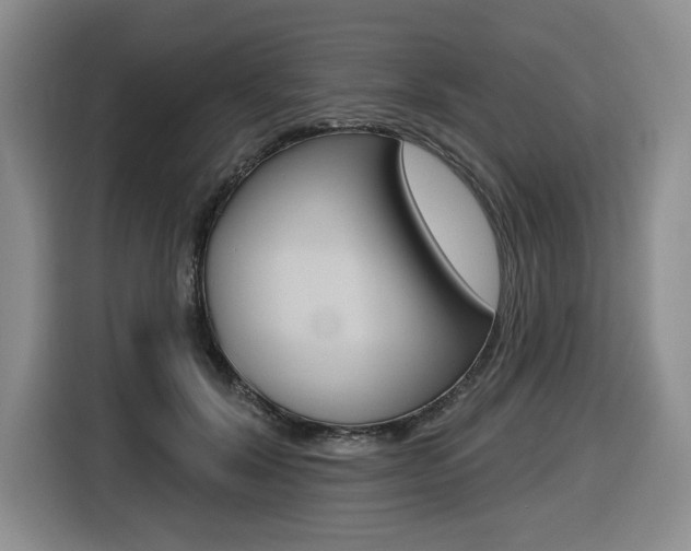 X0000116450604200912081415