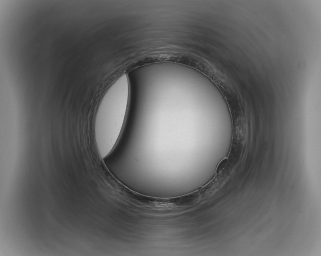 X0000116450605200912081415