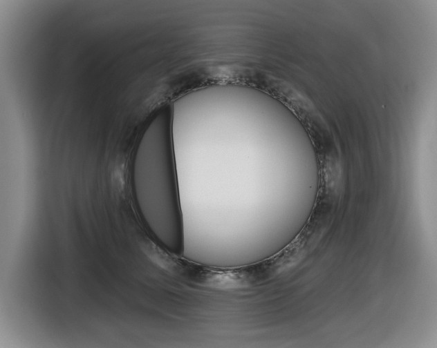X0000116450611200912081415