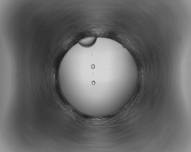 X0000116450615200912081415