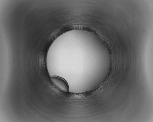 X0000116450619200912081415