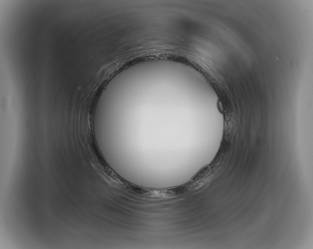 X0000116450623200912081415