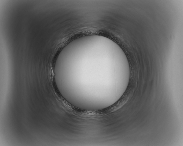 X0000116450624200912081415
