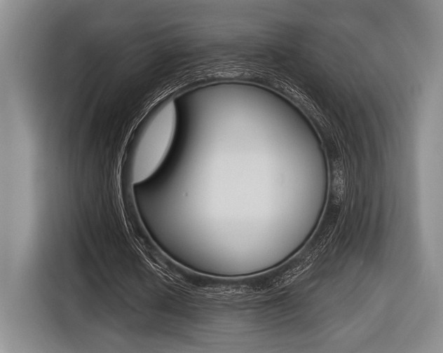 X0000116450626200912081414
