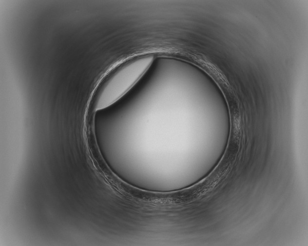 X0000116450628200912081415