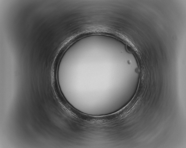 X0000116450629200912081415