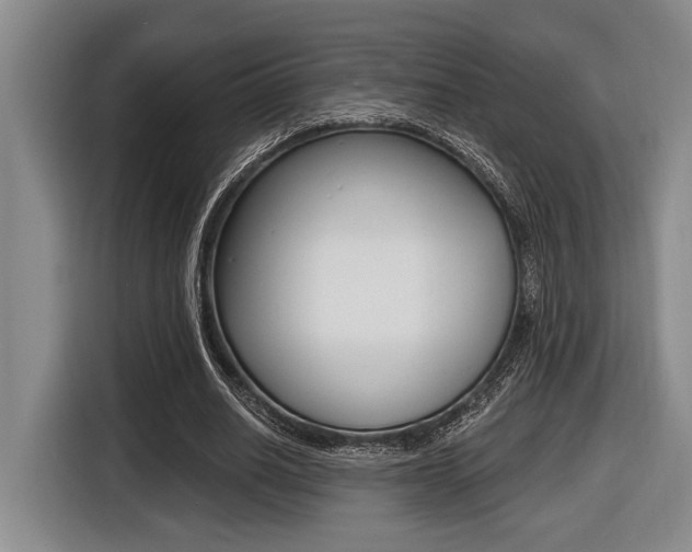 X0000116450630200912081415
