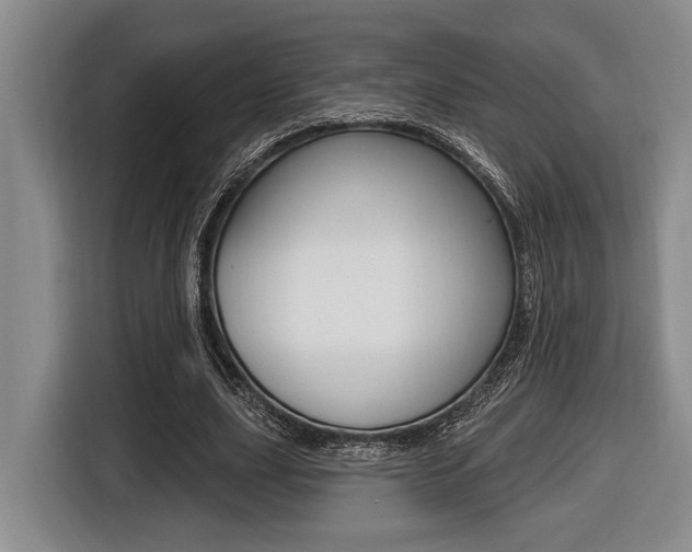 X0000116450631200912081415