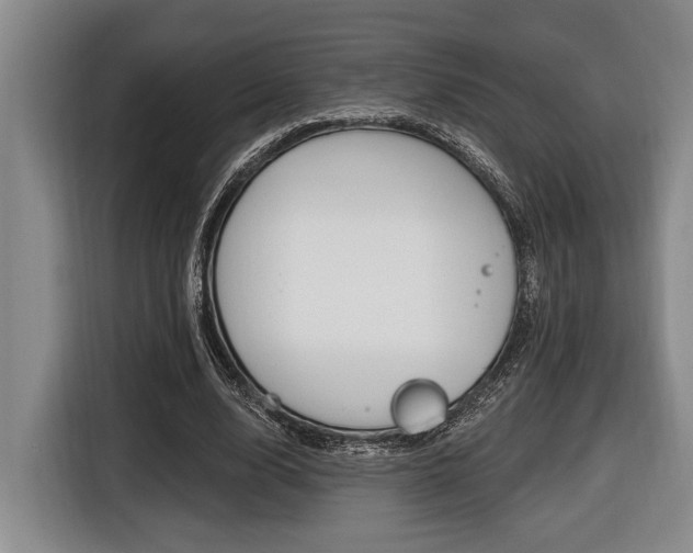 X0000116450632200912081415