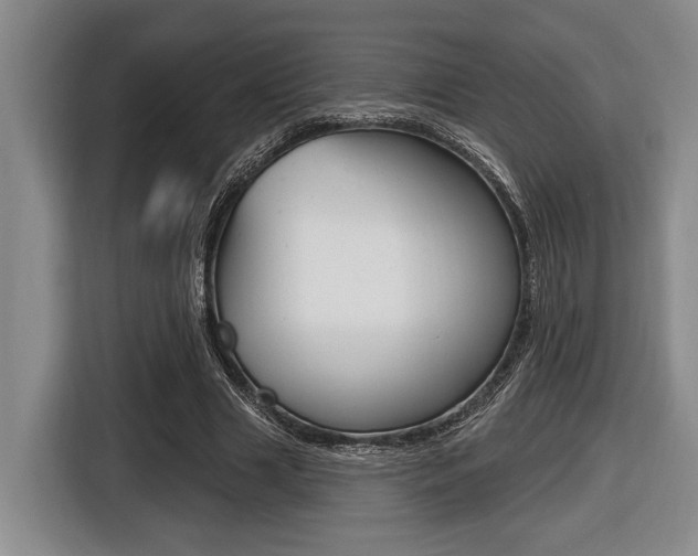 X0000116450633200912081415