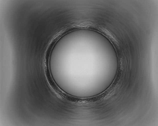 X0000116450634200912081415