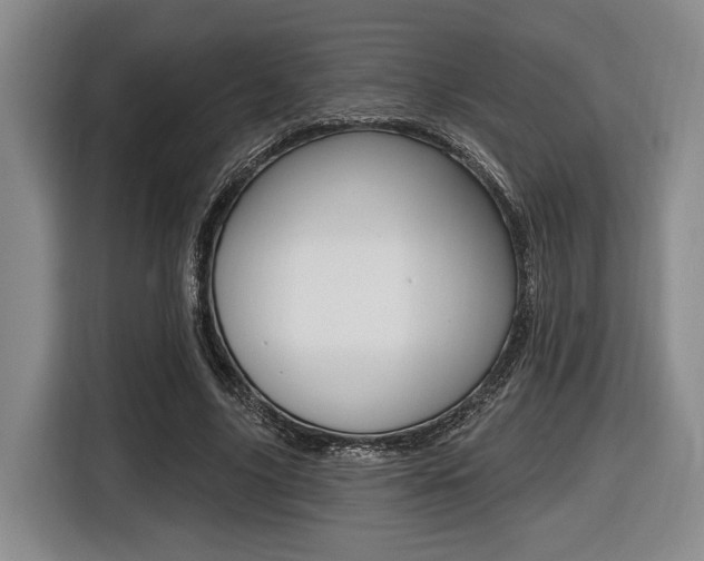 X0000116450635200912081415