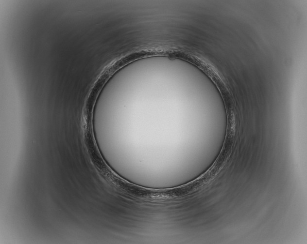 X0000116450636200912081415