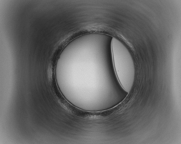 X0000116450637200912081415