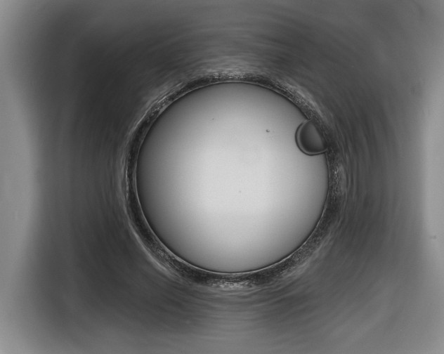 X0000116450638200912081415