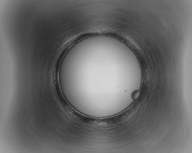 X0000116450640200912081415