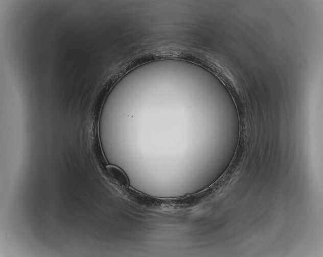 X0000116450641200912081415