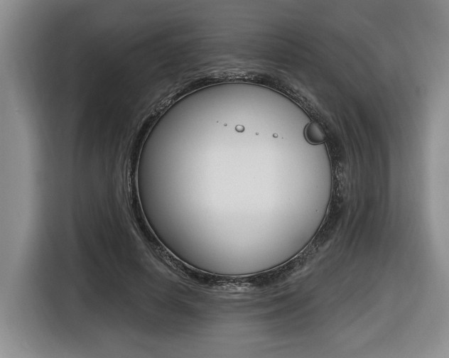 X0000116450642200912081415