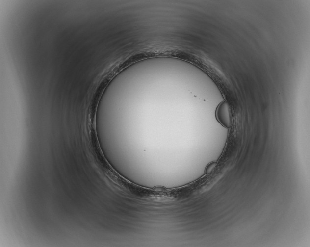 X0000116450644200912081415