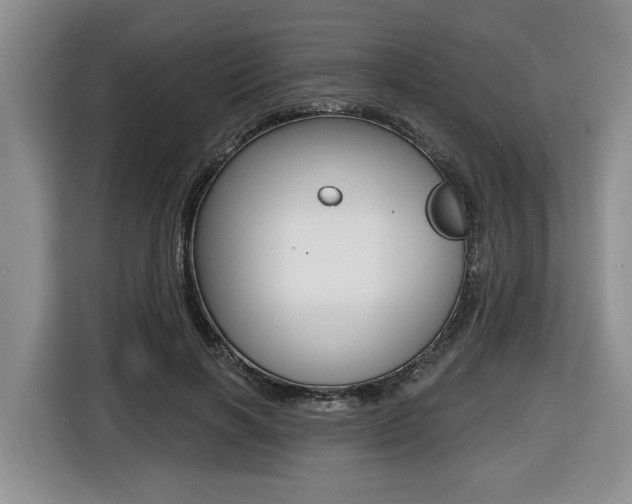 X0000116450646200912081415