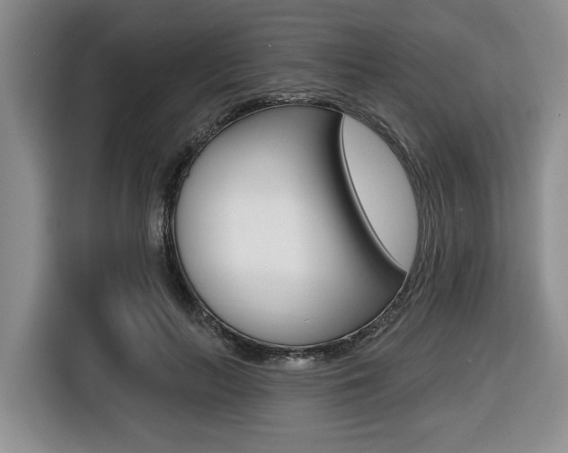 X0000116450647200912081415