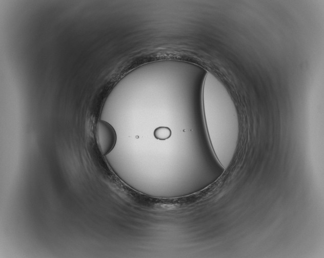 X0000116450649200912081415