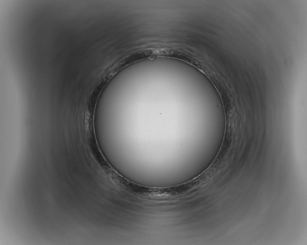 X0000116450650200912081415