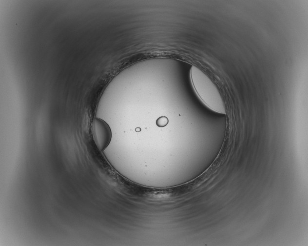 X0000116450651200912081415