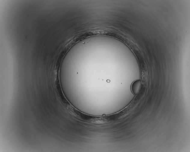 X0000116450652200912081415