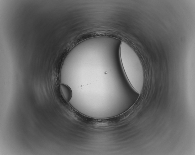 X0000116450653200912081415
