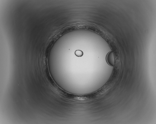 X0000116450654200912081415