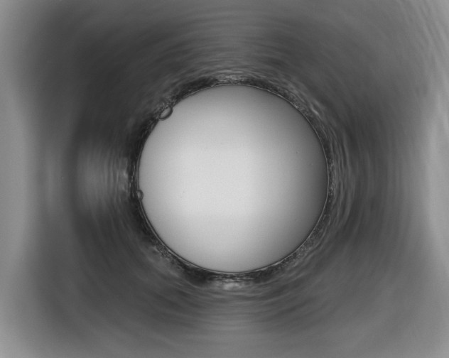 X0000116450655200912081415