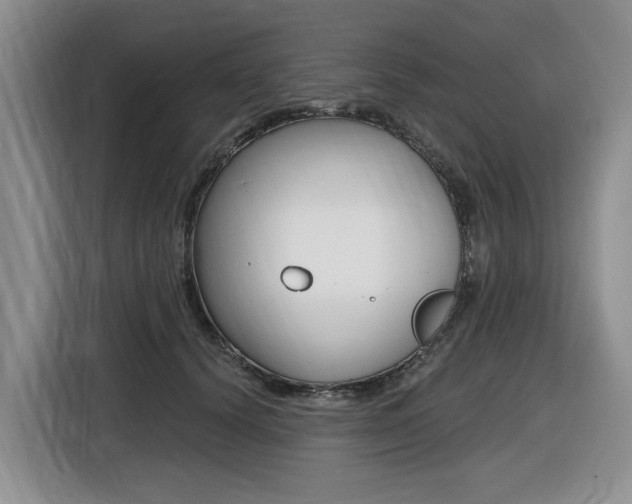 X0000116450656200912081415