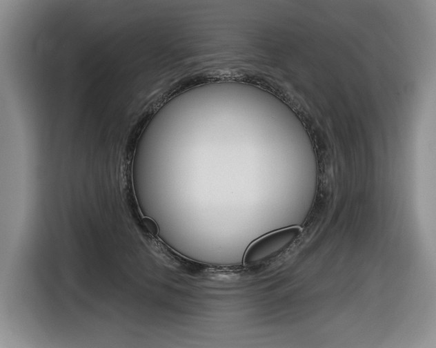 X0000116450658200912081415