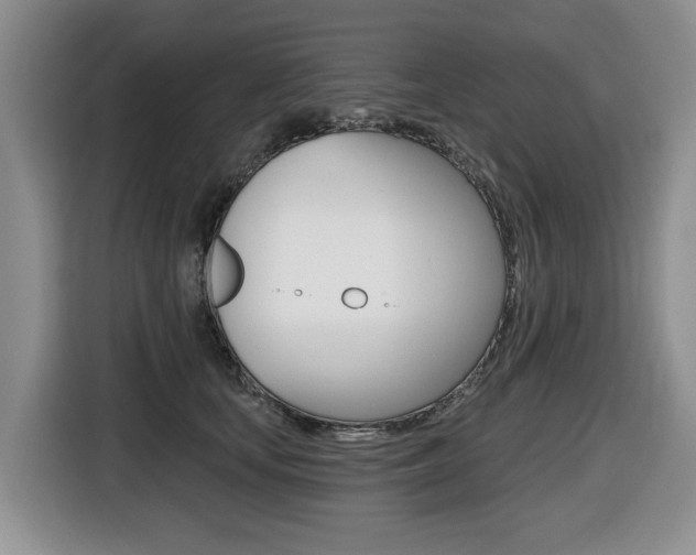 X0000116450659200912081415
