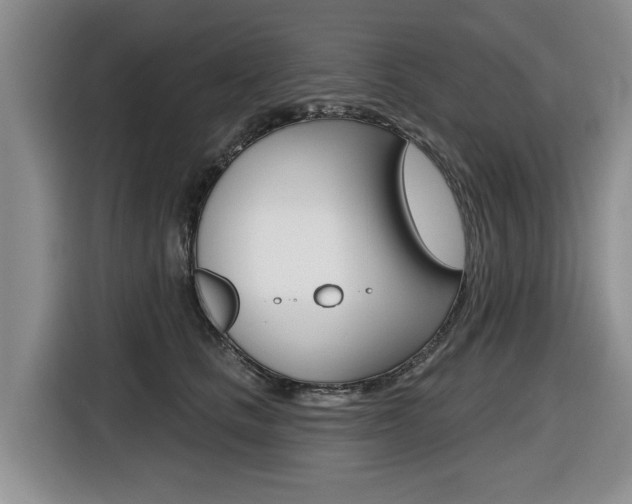 X0000116450661200912081415