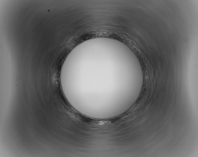 X0000116450663200912081415