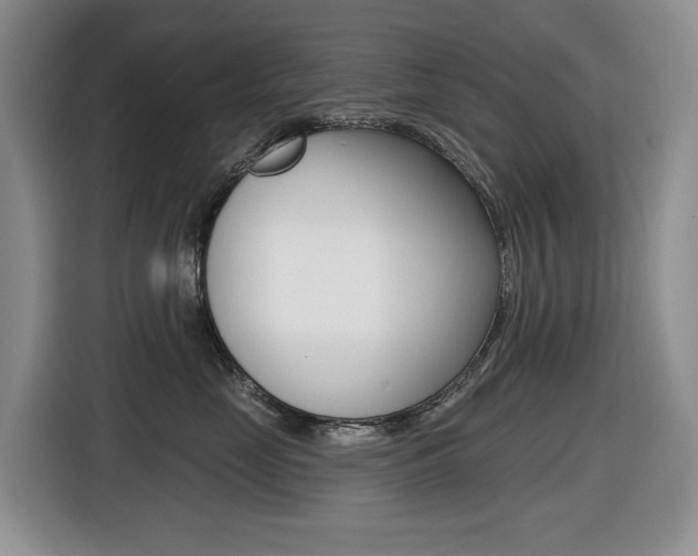 X0000116450669200912081415