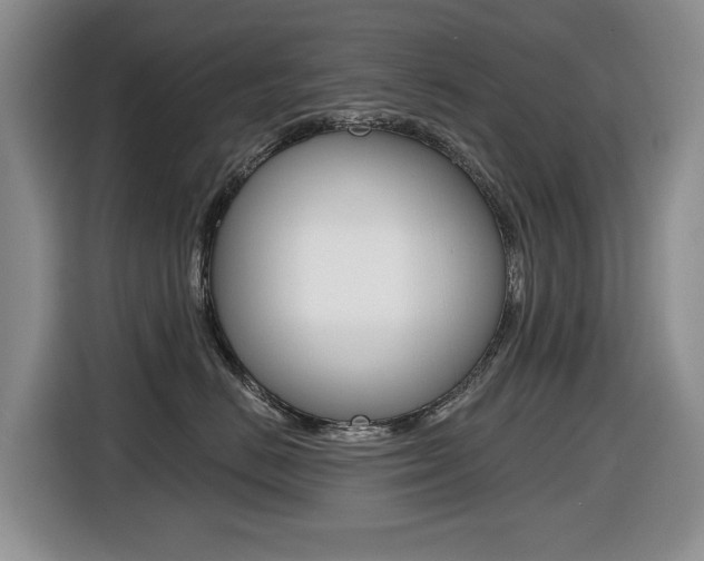 X0000116450670200912081415