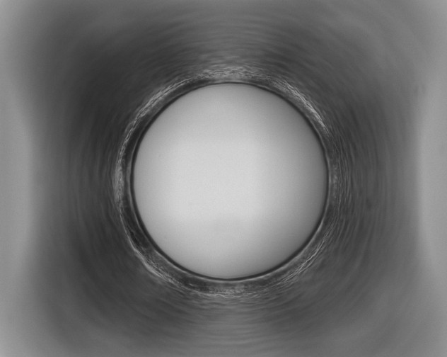 X0000116450674200912081414