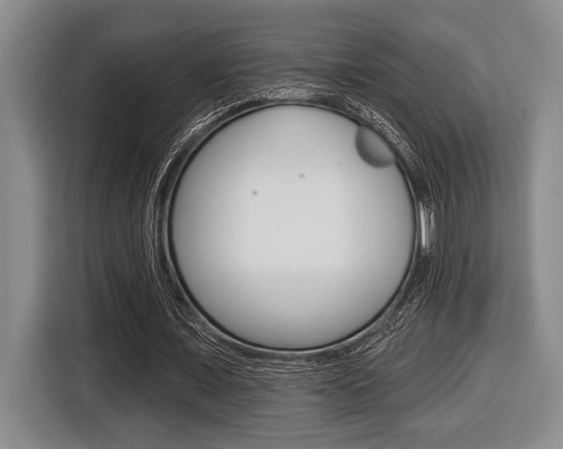 X0000116450675200912081414