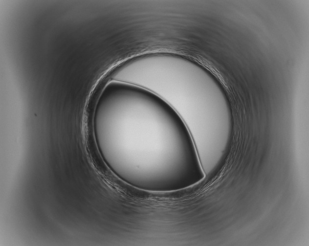 X0000116450676200912081414