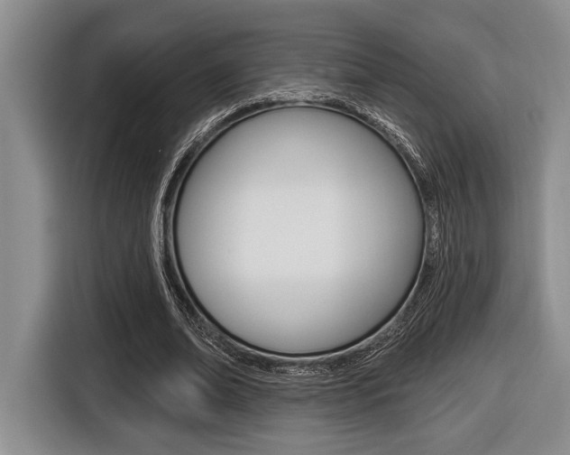X0000116450678200912081414