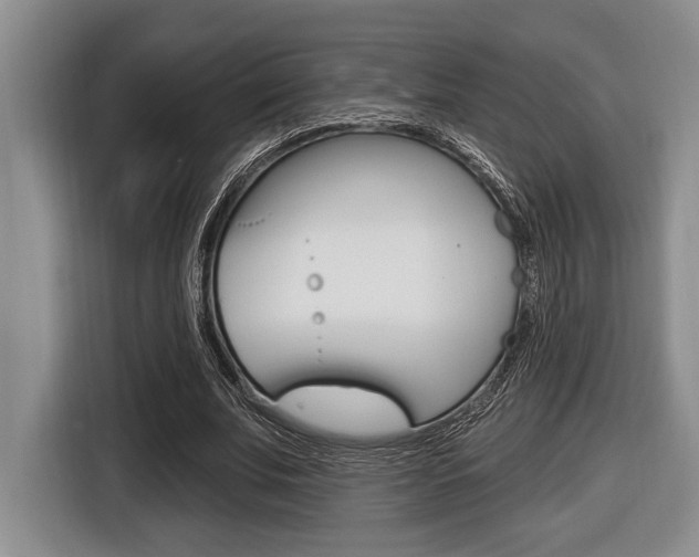 X0000116450679200912081414