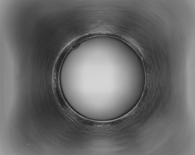 X0000116450680200912081414