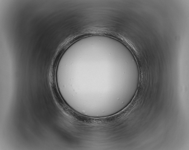 X0000116450682200912081414