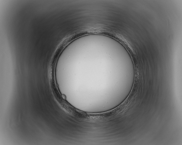X0000116450686200912081414