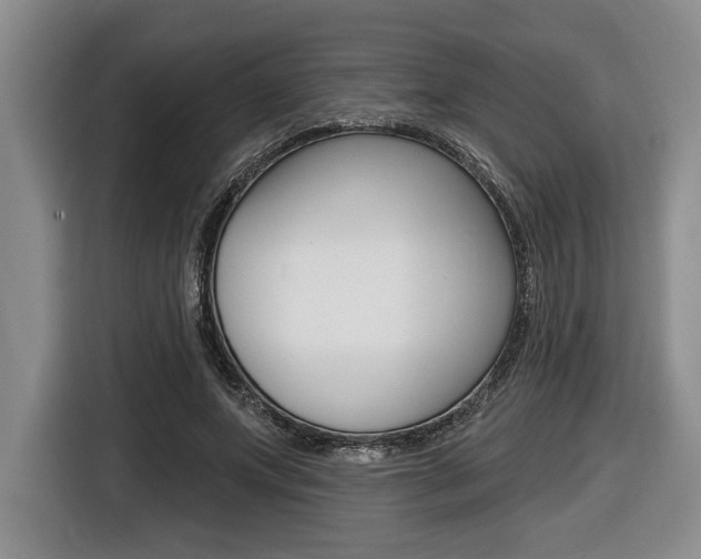 X0000116450687200912081414